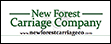 Logo of New Forest Carriage Company
